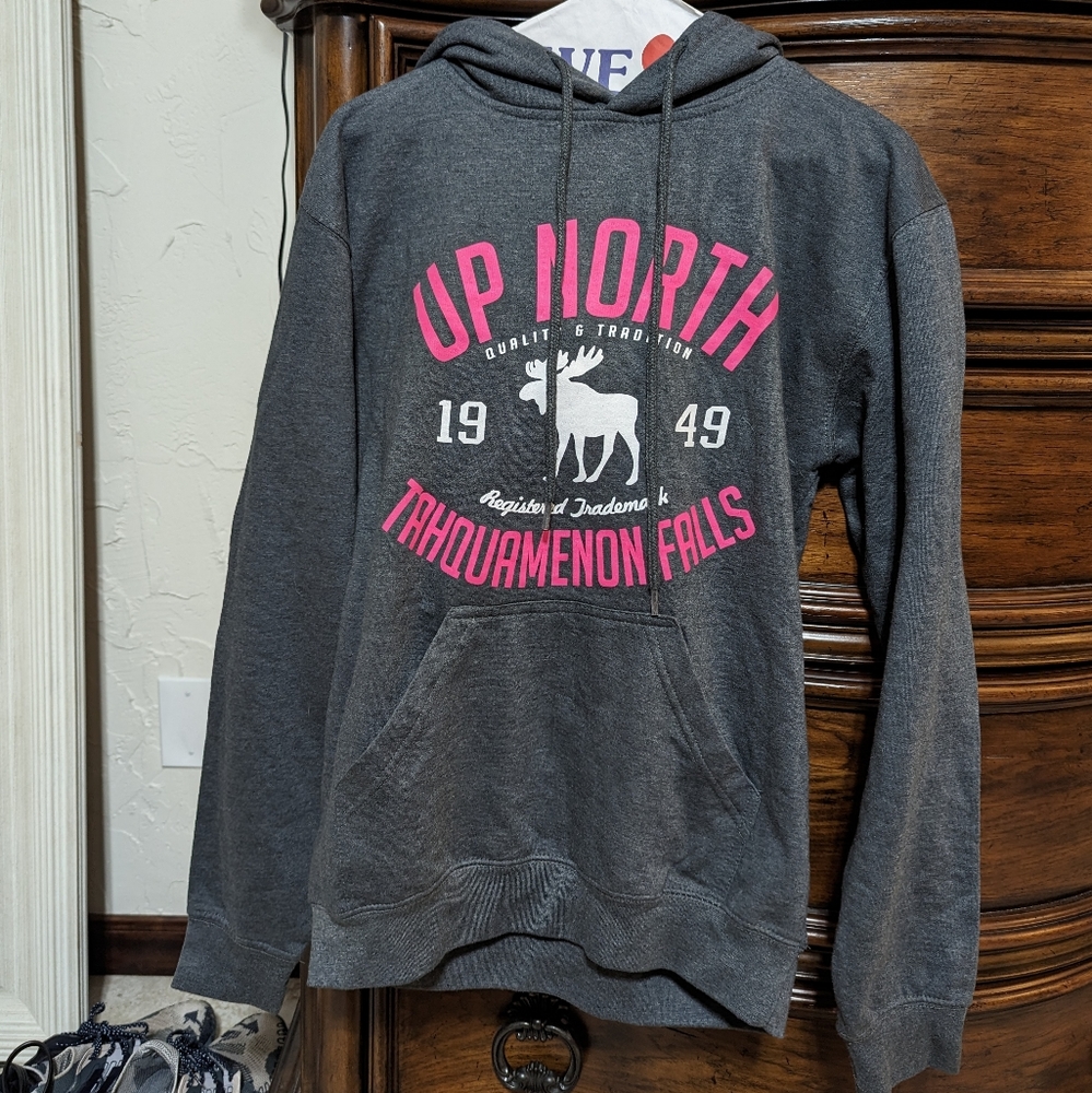 Tahquamenon falls Michigan RetroVision sweatshirt S gray pink